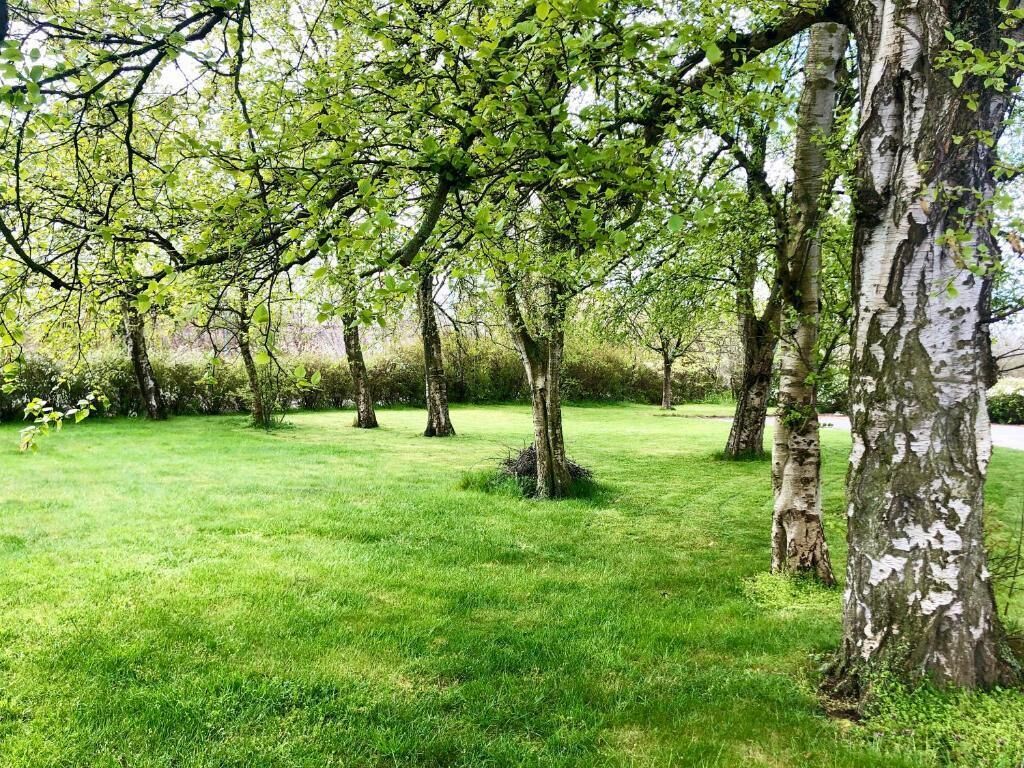 Taman