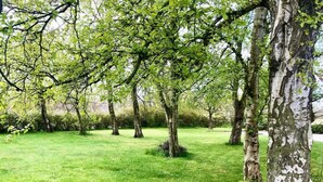 A park with trees and grass. - HEMMET - Simrishamns vandrarhem och B&B (Simrishamn)