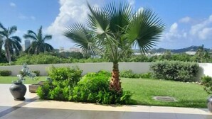 An outdoor patio area with a wooden table and chairs, a palm tree, and a view of a green landscape. - Blue Maho Sxm (Sint Maarten)