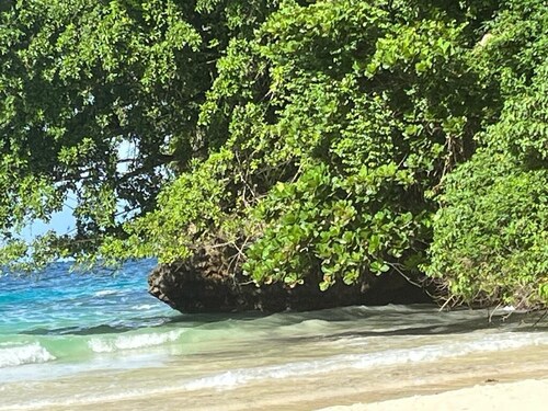 Oasis Palms Luxury Villa