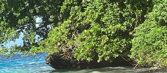 Oasis Palms Luxury Villa