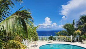 A pool with a curved edge, surrounded by white railings and palm trees, with a view of the ocean. - Oasis Palms Luxury Villa (Tower Isle)
