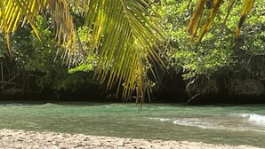 A beach with clear turquoise water, sandy shore, and dense green foliage in the background. - Oasis Palms Luxury Villa (Tower Isle)