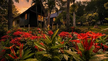 A house surrounded by lush greenery and red flowers.
