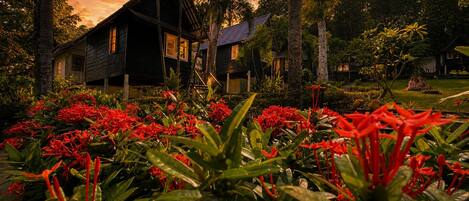 A house surrounded by lush greenery and red flowers.