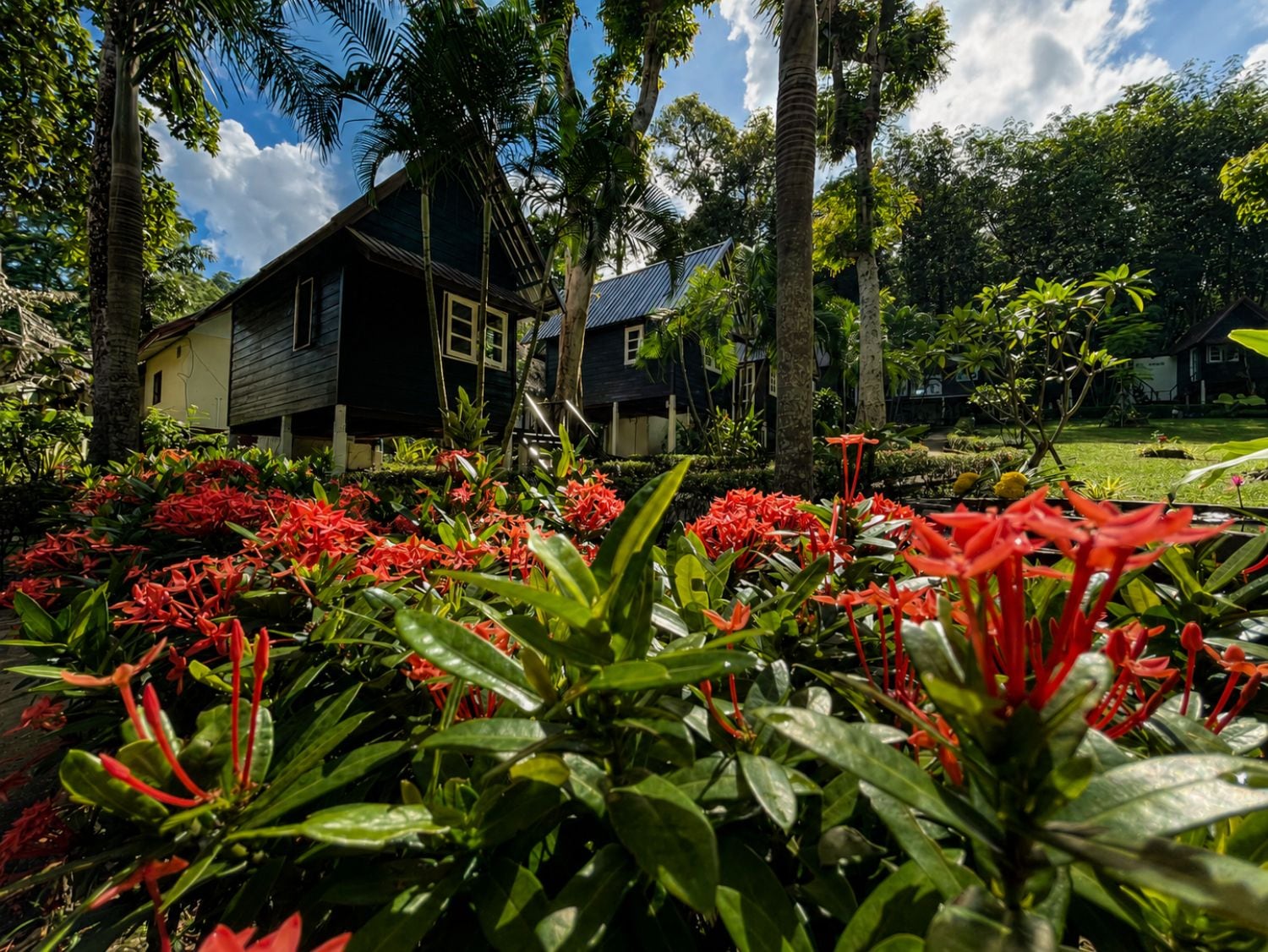 A tropical house surrounded by lush greenery and vibrant red flowers.