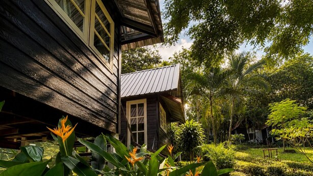 A wooden house with a thatched roof, surrounded by lush greenery and tropical plants. - Vanara Bungalows  (Ko Chang)