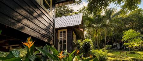 A wooden house with a thatched roof, surrounded by lush greenery and tropical plants.