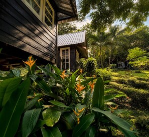 A wooden house with a thatched roof, surrounded by lush greenery and tropical plants.