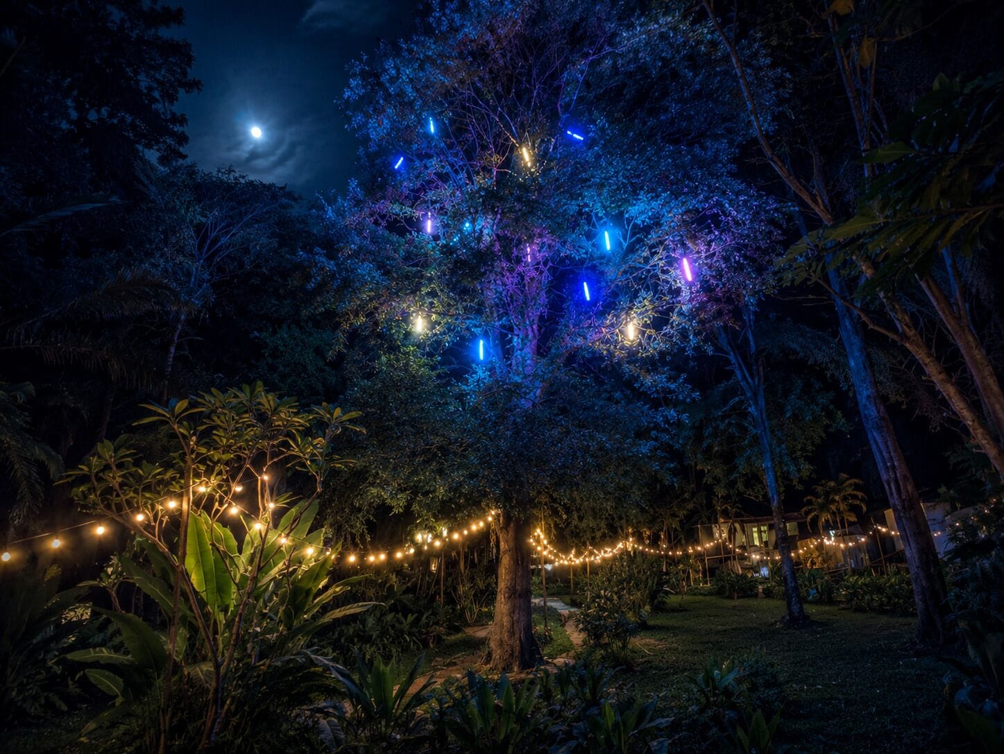 A tree with string lights and a moon in the sky.