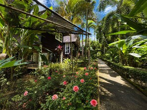 A traditional wooden house surrounded by lush tropical vegetation and a pathway leading through the garden.