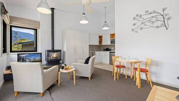 TV, fireplace