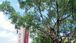 Une enseigne indiquant « Selvamart Residences », avec un arbre au premier plan.
