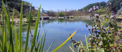 Terrain de lâhĂ©bergement