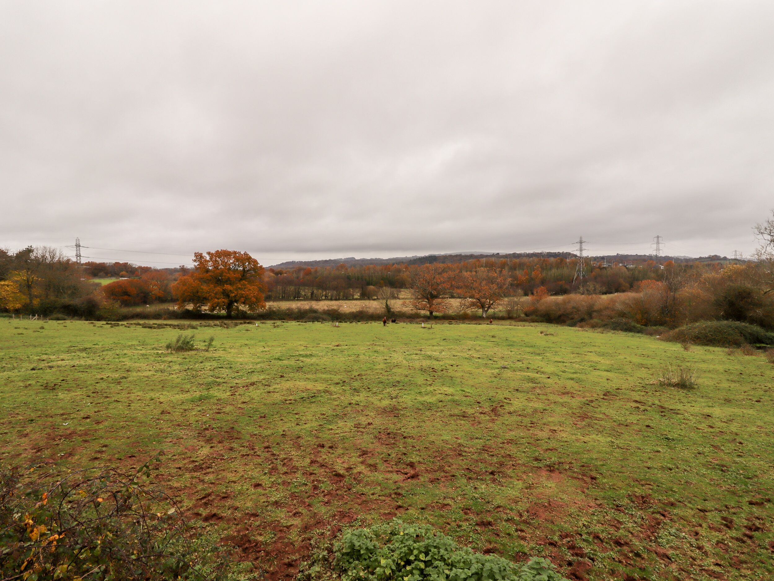 A rural landscape with a field, trees, and distant hills.