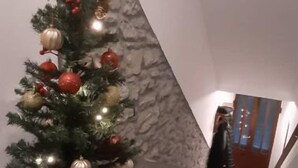 Ein kleiner Weihnachtsbaum mit Dekorationen auf einem hölzernen Ständer in einer Diele.