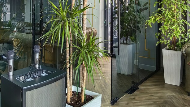 A modern interior with a large potted plant, a sound system, and glass walls. - Shymkent Park Hotel (Shymkent)