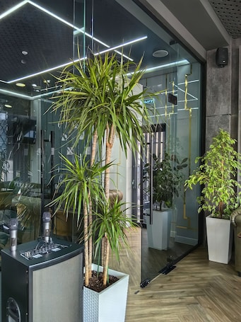 Restaurant. Shymkent Park Hotel