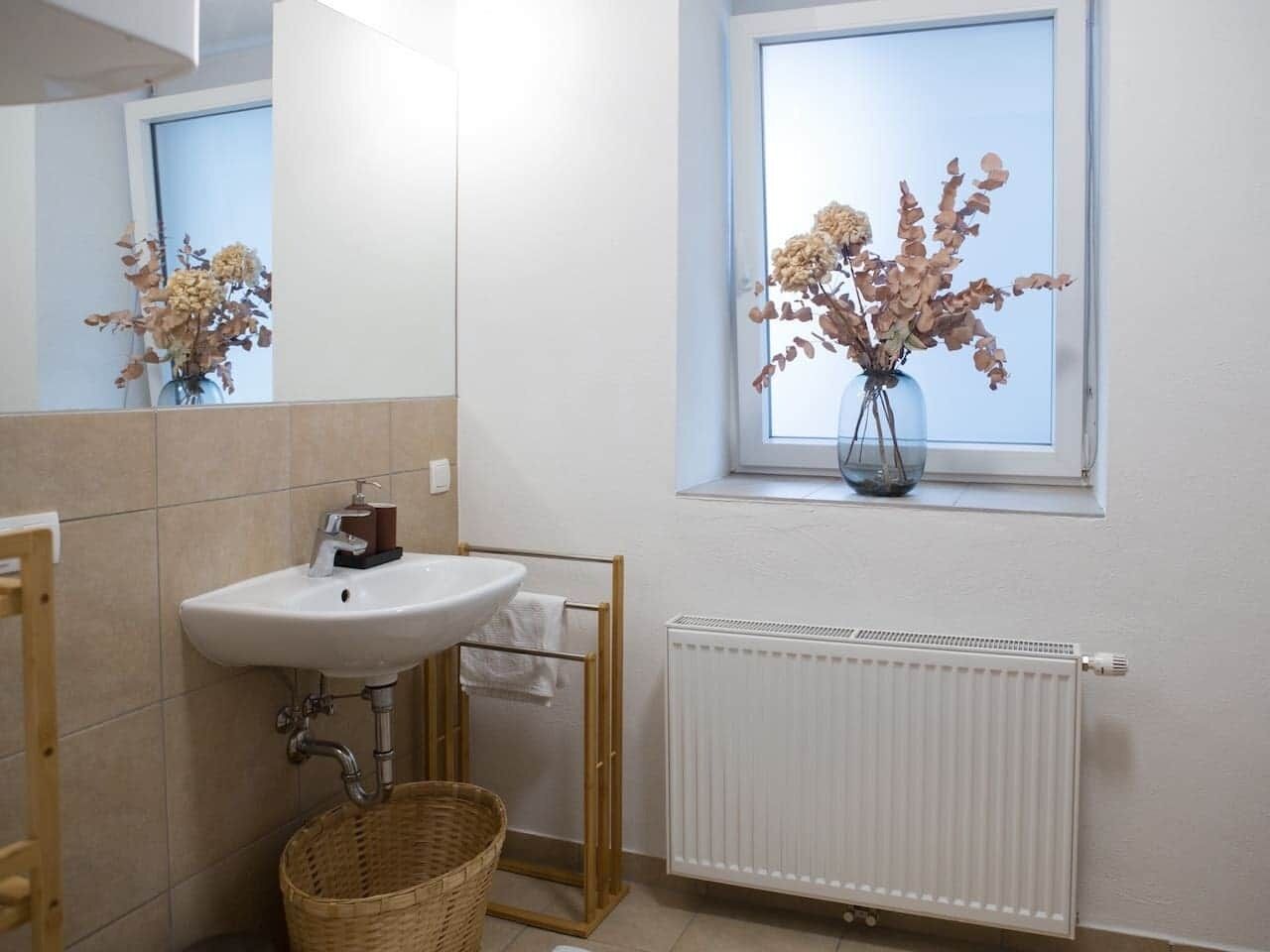 Ducha, secador de pelo, jabón y champú