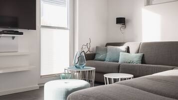 Smart-TV, Kamin