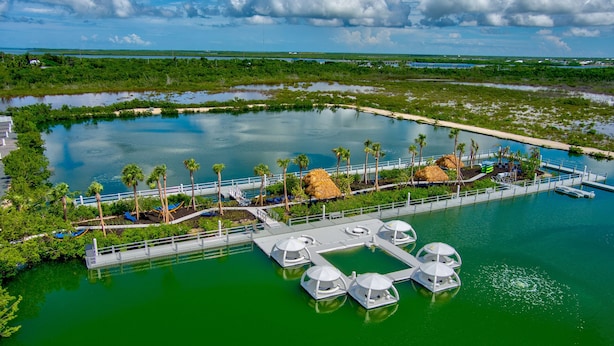 An aerial view of a resort with a water body, palm trees, and thatched-roof structures.
