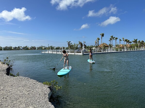 Two people paddleboarding on a calm body of water with a dock and palm trees in the background. - Escape to the Keys! Pet-Friendly Sugarloaf Key Bungalow - Great Amenities (84) (Summerland Key)