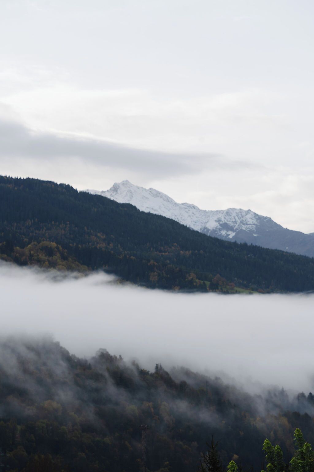 Eine bergige Landschaft mit einem bewaldeten Tal und einem schneebedeckten Gipfel in der Ferne.