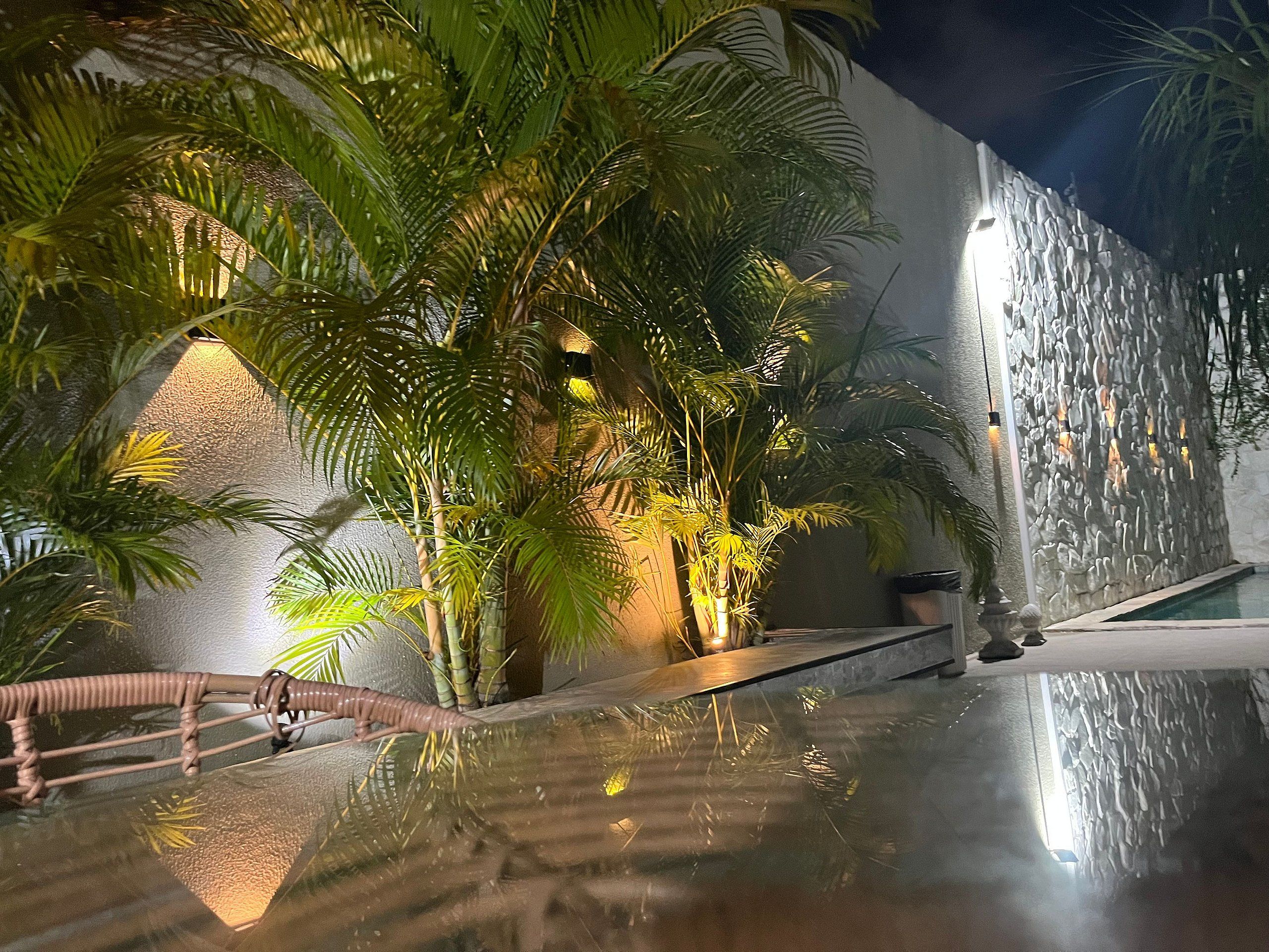 A pool area with a stone wall, palm trees, and a clear pool surface.
