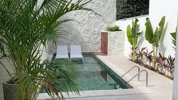 Una piscina con dos sillas de descanso, rodeada de plantas en macetas y un muro de piedra.