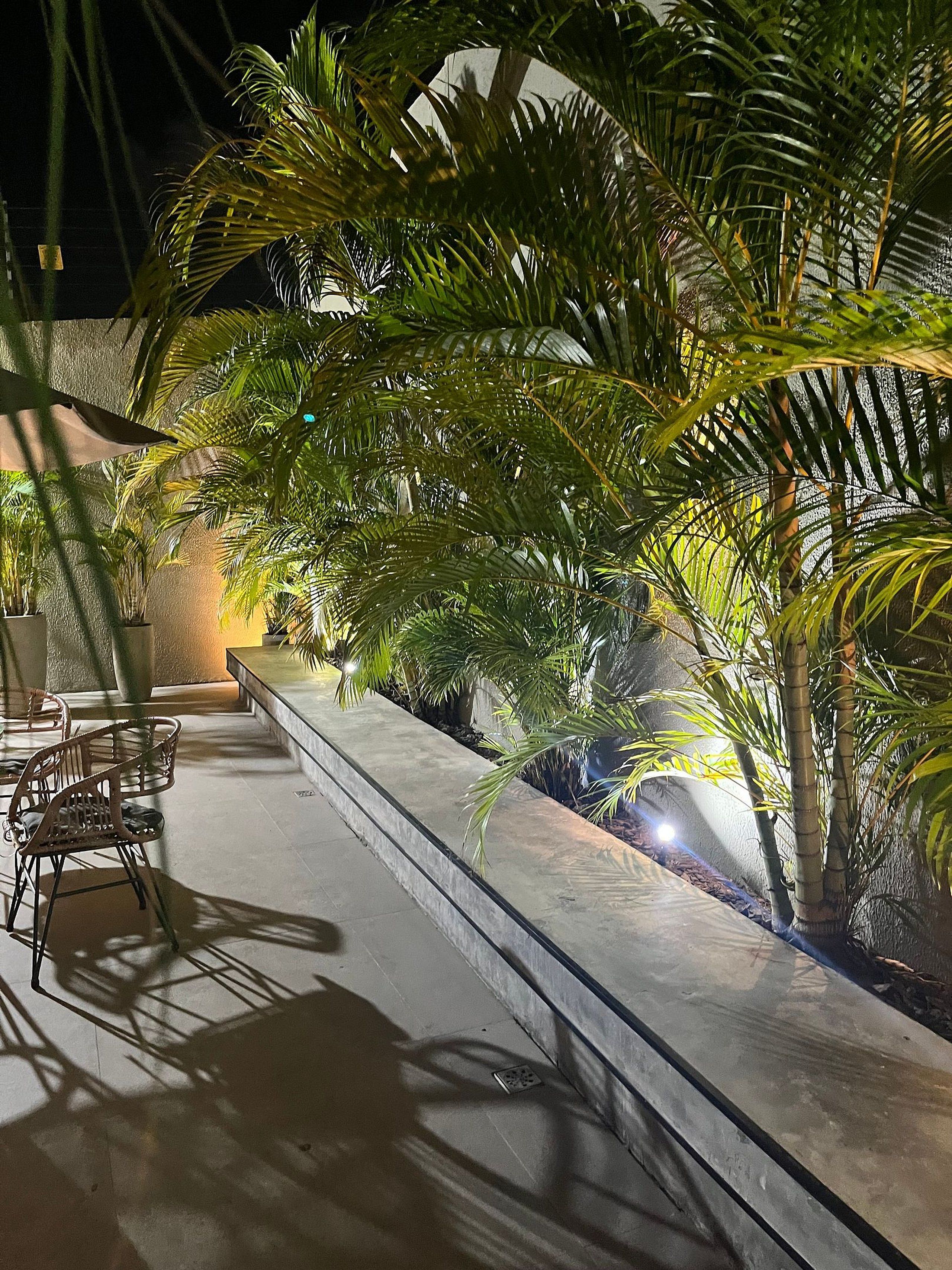 An outdoor seating area with chairs and tables, surrounded by lush greenery and palm trees.