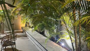 An outdoor seating area with chairs and tables, surrounded by lush greenery and palm trees.