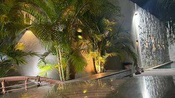 A pool area with a stone wall, palm trees, and a clear pool surface.