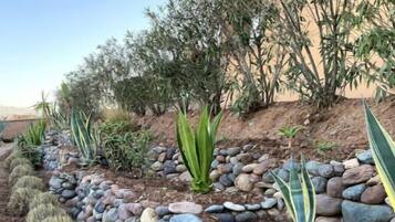 Jardines del alojamiento