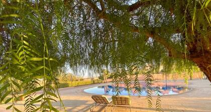 Piscines Dans une Villa D'artiste Dans une Résidence Privée