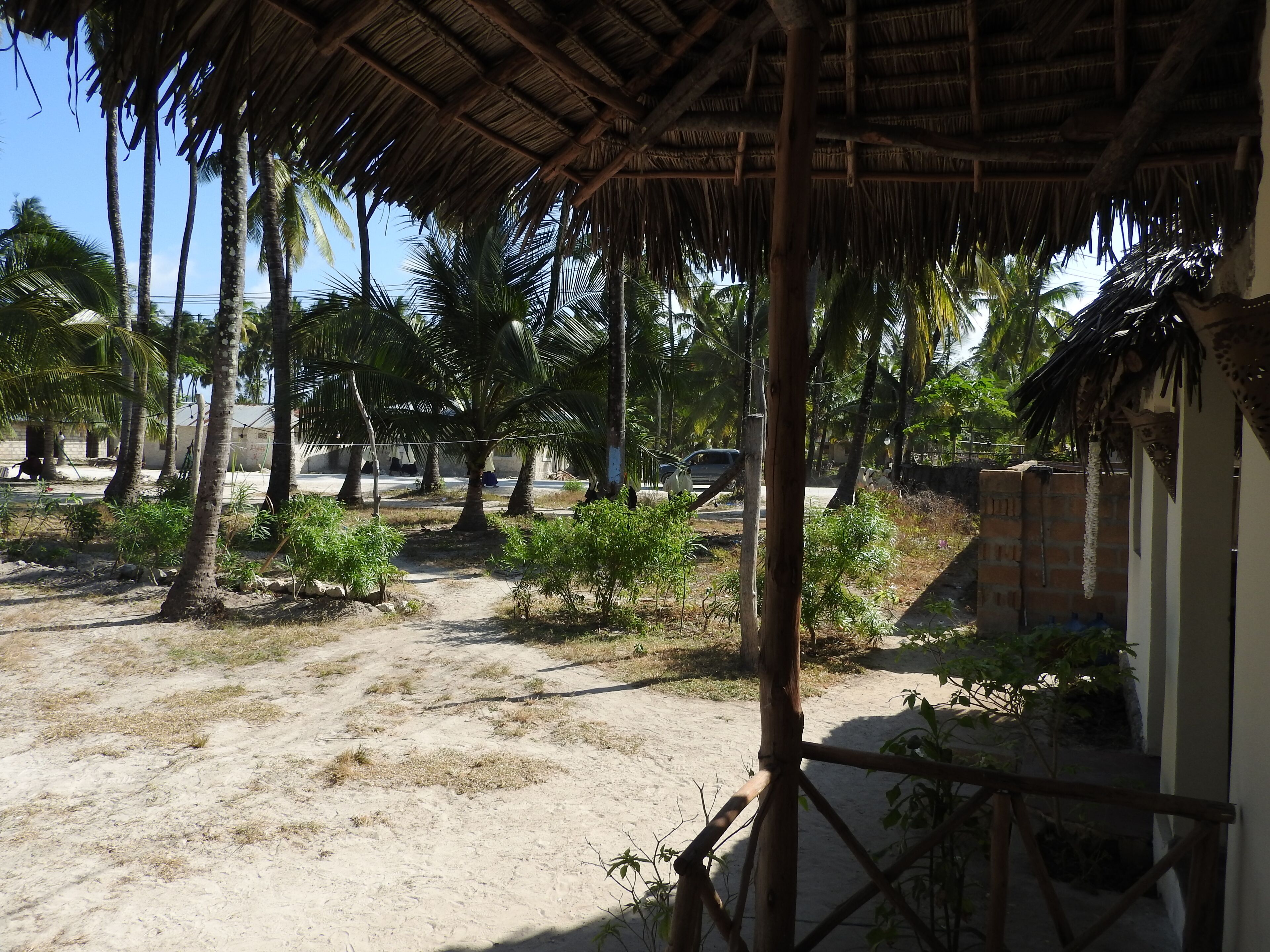 A thatched-roof structure with palm trees and a dirt path.