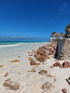 Beach nearby, white sand, scuba diving, snorkelling - Stonefish Inn Jambiani  (Jambiani)
