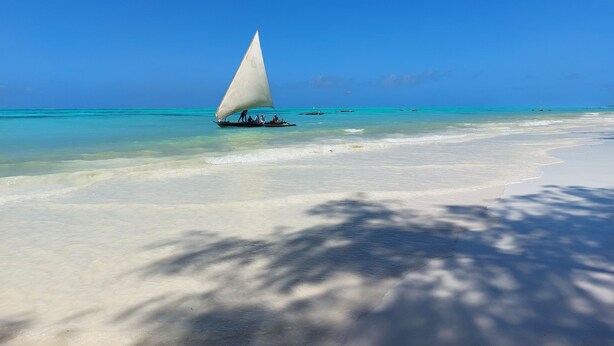 Un voilier sur une mer turquoise et limpide, avec une plage de sable et l’ombre des palmiers.