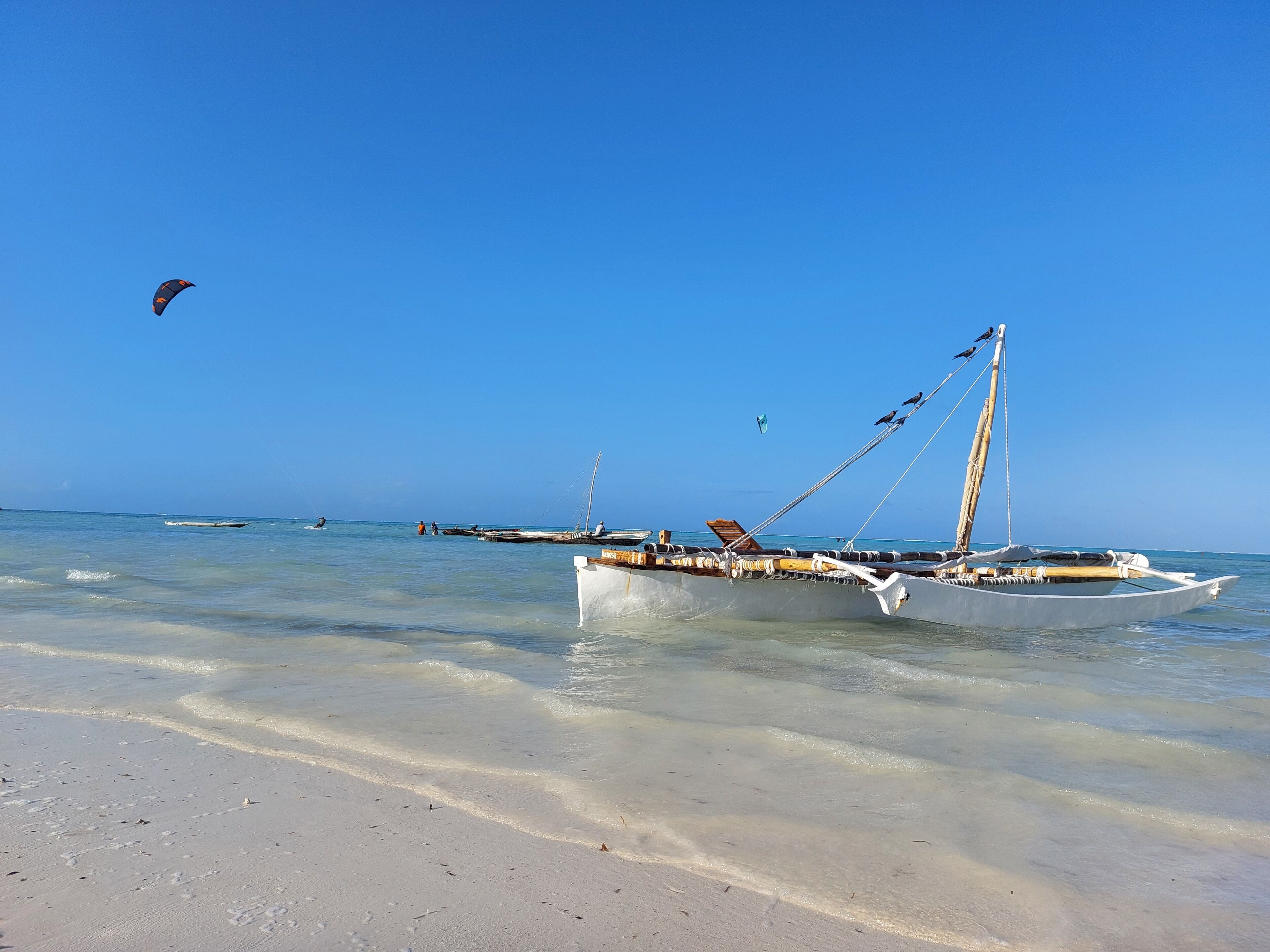 Plage à proximité, sable blanc, plongée sous-marine, snorkeling