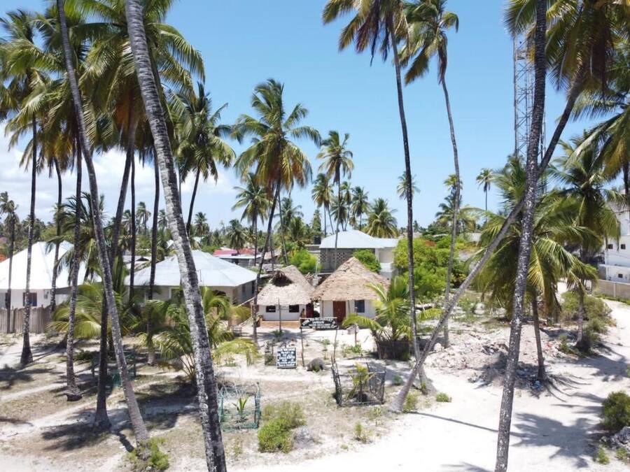 A beachside property with thatched-roof huts, palm trees, and a sandy landscape.