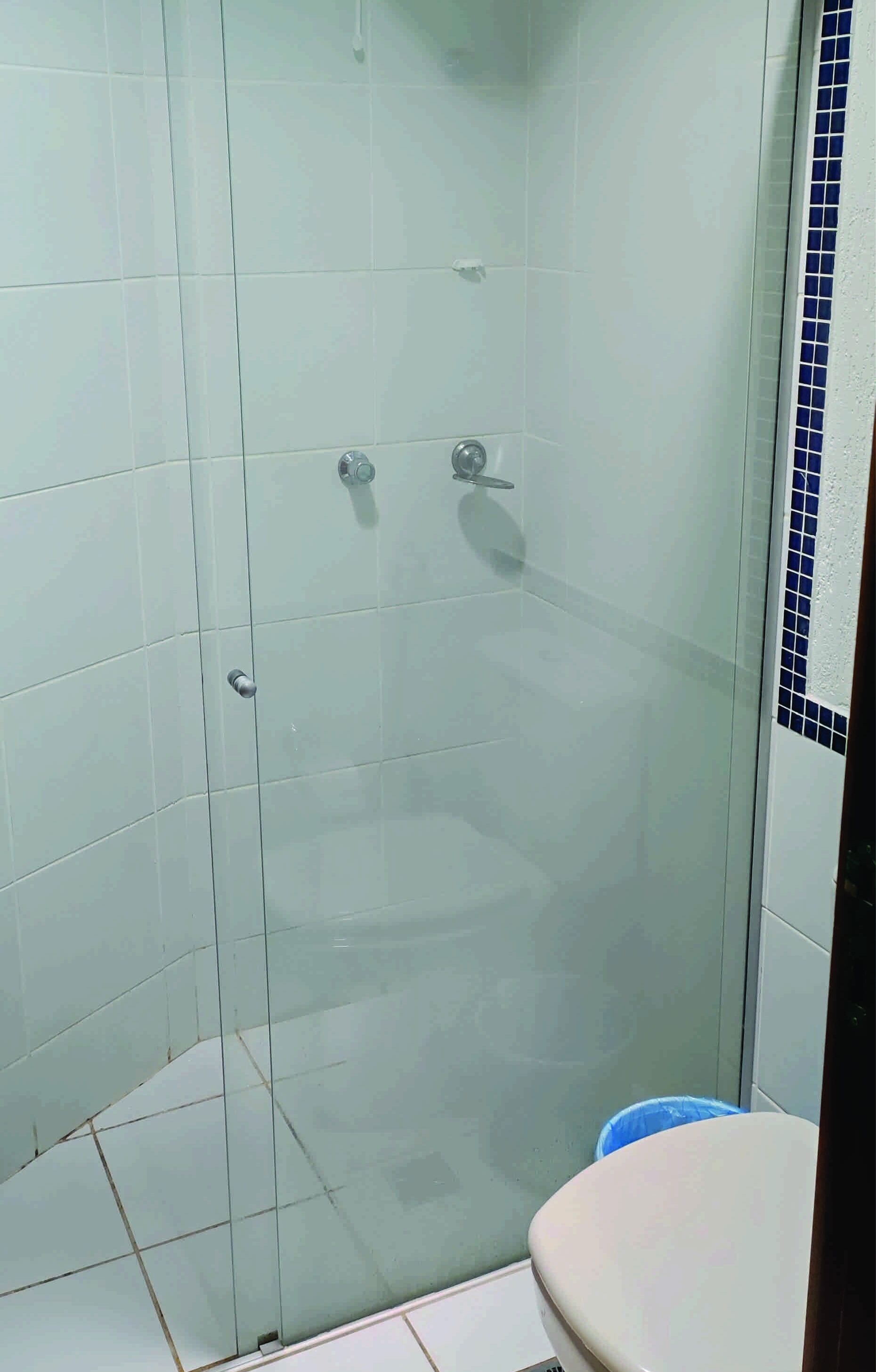 A glass-enclosed shower stall with a white toilet visible through the glass.