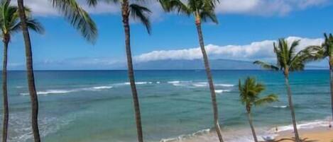 Plage, chaises longues, serviettes de plage