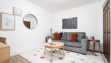 Smart TV, fireplace, books