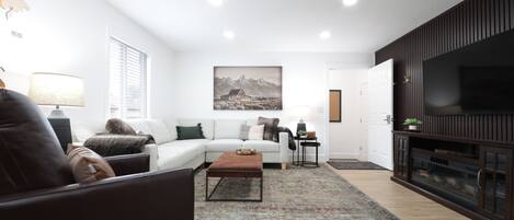 Smart TV, fireplace, books