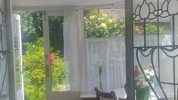 A sunlit room with a view of greenery outside, a small table with a chair, and a potted plant. - Jesmond vegan B&B  (Hull)