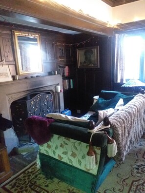Living area - Jesmond vegan B&B  (Hull)