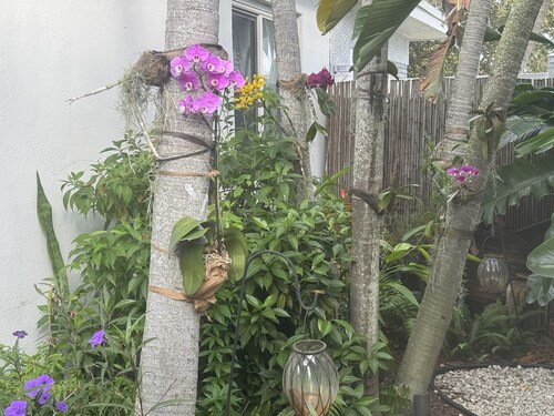 Peaceful quiet relaxing pet friendly close to Wilton Manors.