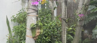 Peaceful quiet relaxing pet friendly close to Wilton Manors.