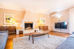 Un salon avec une cheminée, un téléviseur et un canapé.