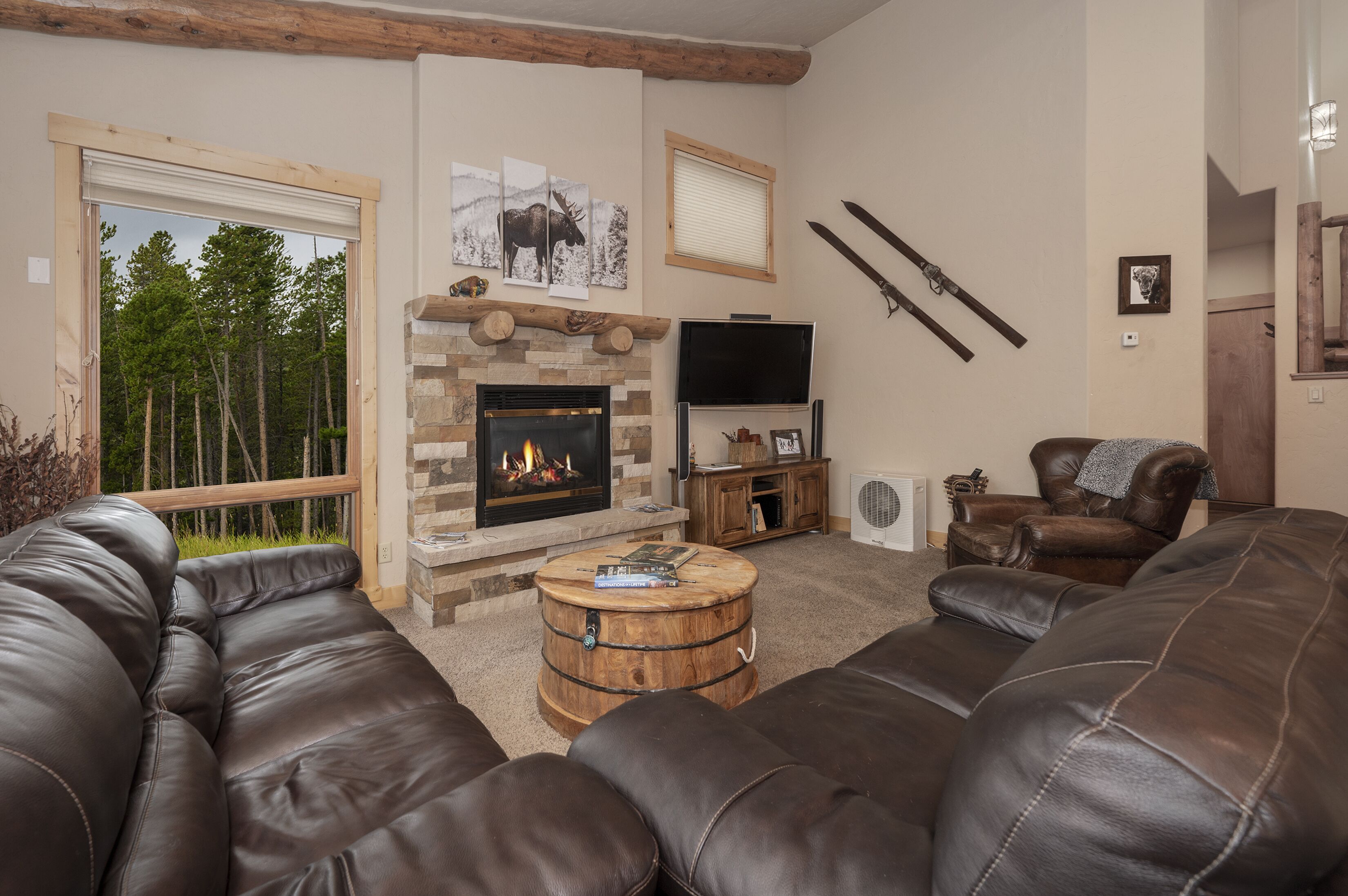 Fireplace, video games, books