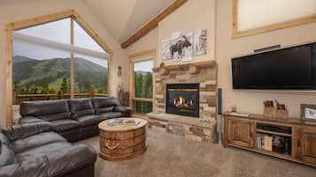 Fireplace, video games, books
